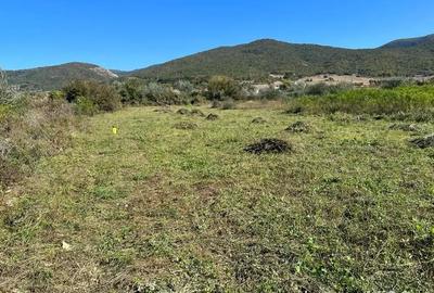 Teren de 3300 mp, în Central