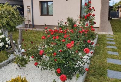 Casă cu 4 camere în Exterior Vest - 5