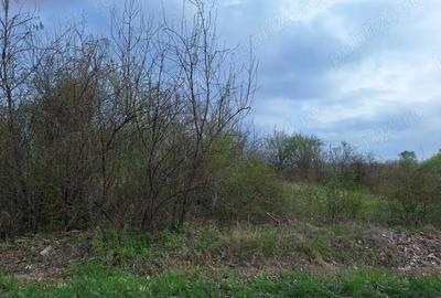 Teren de 726 mp, în Sinești - 4