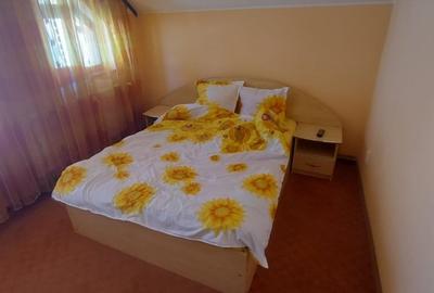 Oportunitate de investitie - Pensiune de vanzare in statiunea Ranca, jud. Gorj - 12