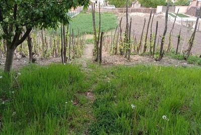 Casă cu 3 camere în Iancu Jianu - 2