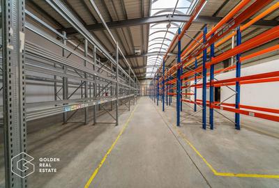 Spațiu industrial, de 704.71997070313 mp, în Aradul Nou - 1