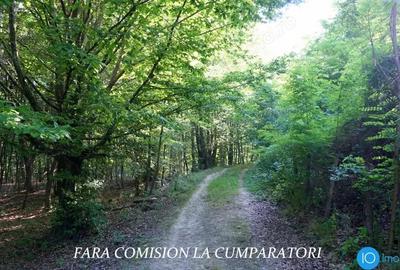 TEREN 6700 MP, INTRAVILAN LANGA PADURE - 13