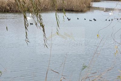 Corbeanca, parcela intravilana cu vedere superba la lac, investitie de top - 7