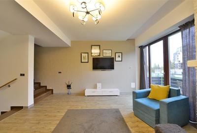 Apartament confortabil 3 cam Silver Mountain - 11