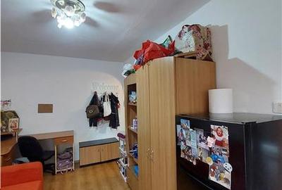 Garsoniera la etajul 1, zona Micalaca, Orizont - 3