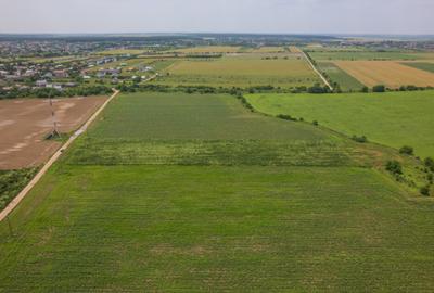 BALOTESTI - SAFTICA, TEREN INTRAVILAN 500 MP, DESCHIDERE 21 - 13