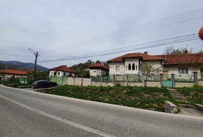 Casă individuală cu 5 camere cu Teren 7000 Mp în Central - 1
