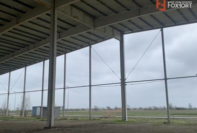 COMISION 0% Hala industriala 5500 mp utili zona de Nord Timisoara - ID V5143 - 2