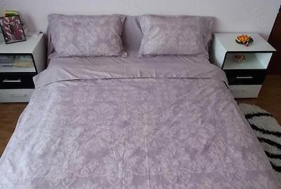 Apartament cu 2 camere semidecomandat în Debarcader - 2