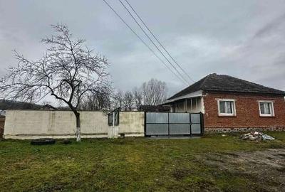 Casă individuală cu 3 camere cu Teren 2100 Mp în Lalașinț - 5