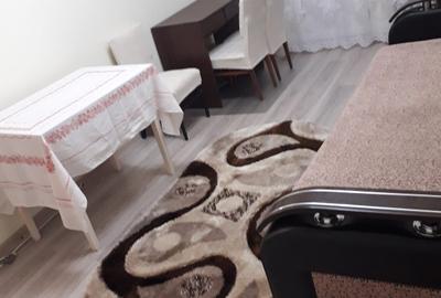 Apartament cu 2 camere decomandat în Universitate - 7