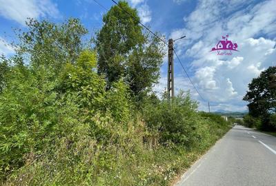 Teren de vanzare in Meziad. - 4