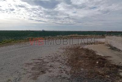 Ferma Agricola 1.350 Hectare Grad de Comasare 9697%, Chi?ineu Cri?, Jude?ul Arad - 7