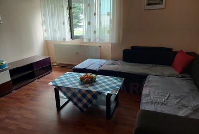 APARTAMENT LA CHEIE,2CAMERE Oțelu-Roșu,Jud.Caraș-Severin - 3