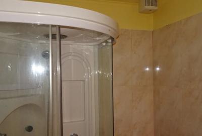 Garsonieră în Gojdu - 9