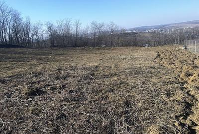 Spațiu comercial, în Vlădiceni - 6