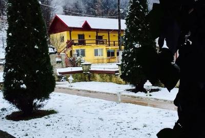 Teren pentru investitii 11.000 mp - 42