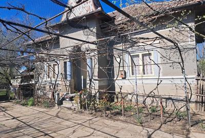 Casă cu 4 camere cu Teren 780 Mp în Urzicuța - 1