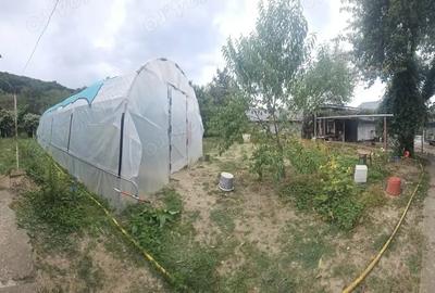 Gospodarie de vanzare in comuna Davide?ti, sat Voroveni. - 1