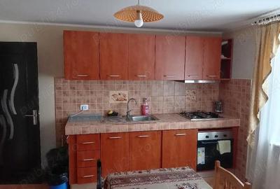 Casă cu 1 camere cu Teren 2500 Mp în Tulnici - 7