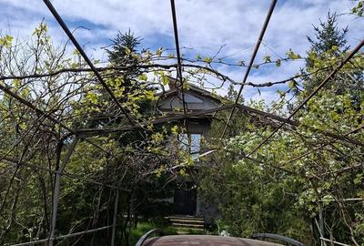 Casă cu 6 camere cu Teren 1000 Mp în Berceni