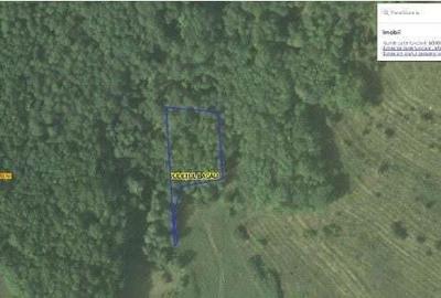 Teren Filipeni, Padure, ID: R2388722 - 2