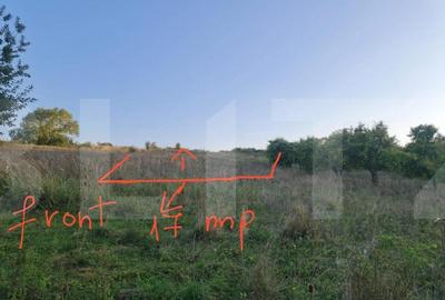 Teren, 11.600 mp, Campenesti - 4