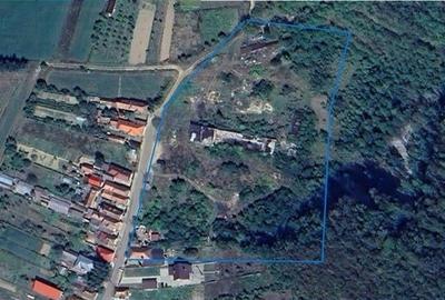 Amplasament de 13.500 mp:oportunitate  unitate de prelucrare terena, Viforoasa, Amplasament de 13.500 mp:oportunitate  unitate de prelucrare terena, Viforoasa, - 1