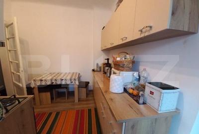 Apartament in vila, 4 camere, 87 mp, teren 80 mp, ultracentr - 28