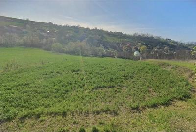Teren de 1600 mp, în Sârbi - 1