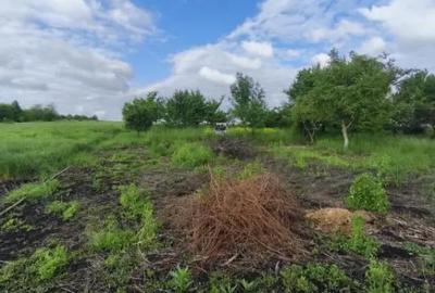 Casă cu 4 camere cu Teren 6000 Mp în Negostina - 2