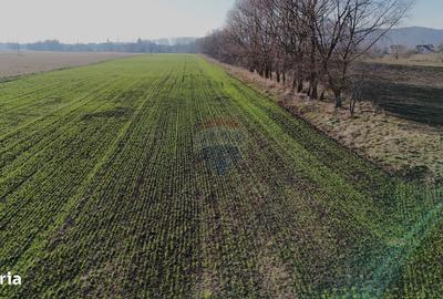 Spațiu comercial, în Hărman - 7