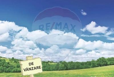 Teren de 210000 mp, în Pleșcuța - 3