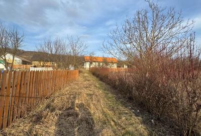 Casă cu 4 camere în Central - 4