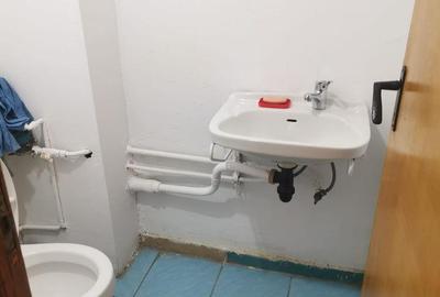 Apartament cu 3 camere decomandat în Exercițiu - 8