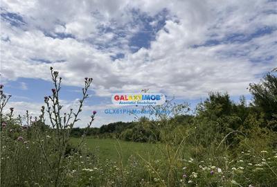 Teren 60000 mp, in Plopu, la 10 km de Ploiesti - 13