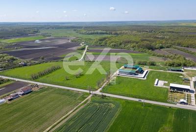 Teren Construcții intravilan de 105000 mp, în Crânguri - 13