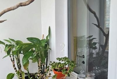 Apartament 2 camere zona Tomis III - 8