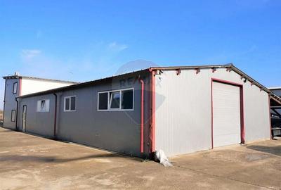 Hala Industriala, Parcul Industrial Bor? 2, De Vanzare - 1