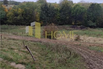 Casă cu 4 camere cu Teren 11250 Mp în Ștubeiu - 5