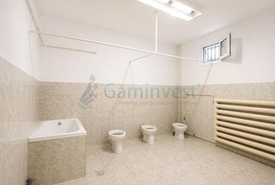 Spațiu comercial, de 401 mp, în Nufărul - 3