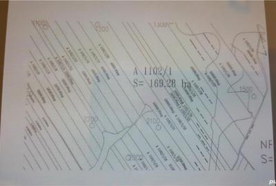 Teren de 95000 mp, în Orțișoara