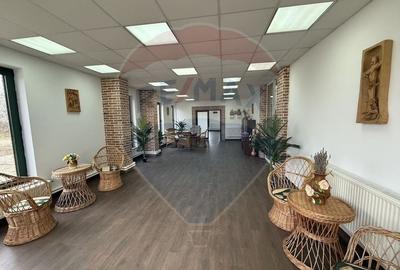 Proprietate specială, de 430,000 mp, în Adunații-Copăceni - 21