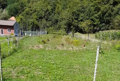 Teren extravilan 572 mp cu BALTA DE PESCUIT in Satul Hartagani din Comuna Baita, Judetul Hunedoara. - 1