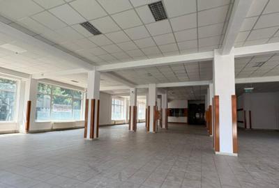 Spatiu comercial central