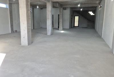 Casă cu Teren 480 Mp în Lumina - 6