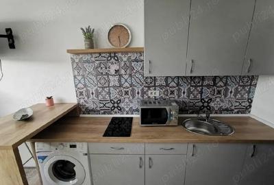 Garsoniera de inchiriat - Uta-Cocorilor - 4