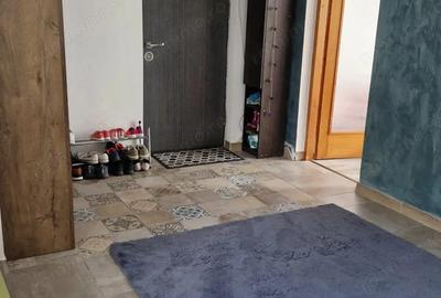 Apartament cu 3 camere decomandat în Dâmbu Pietros - 9