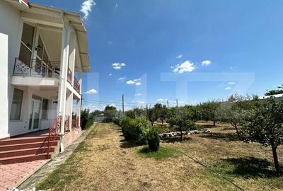 Casă cu 7 camere cu Teren 17000 Mp în Oboga - 15